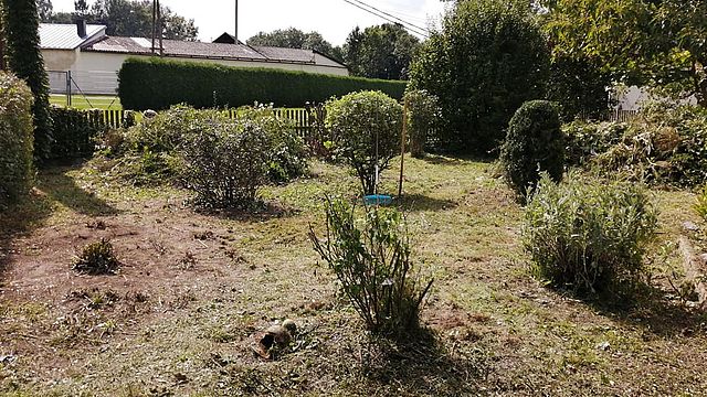 Feichtinger Haus- und Gartenpflege