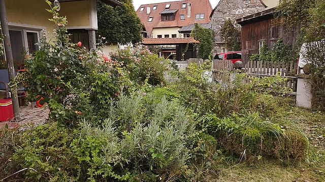 Feichtinger Haus- und Gartenpflege