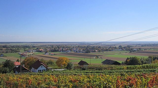 Weingut Grosz Eisenberg Südburgenland