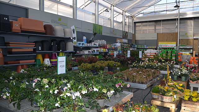 Blumenhaus & Gartengestaltung Buttinger Vöcklabruck