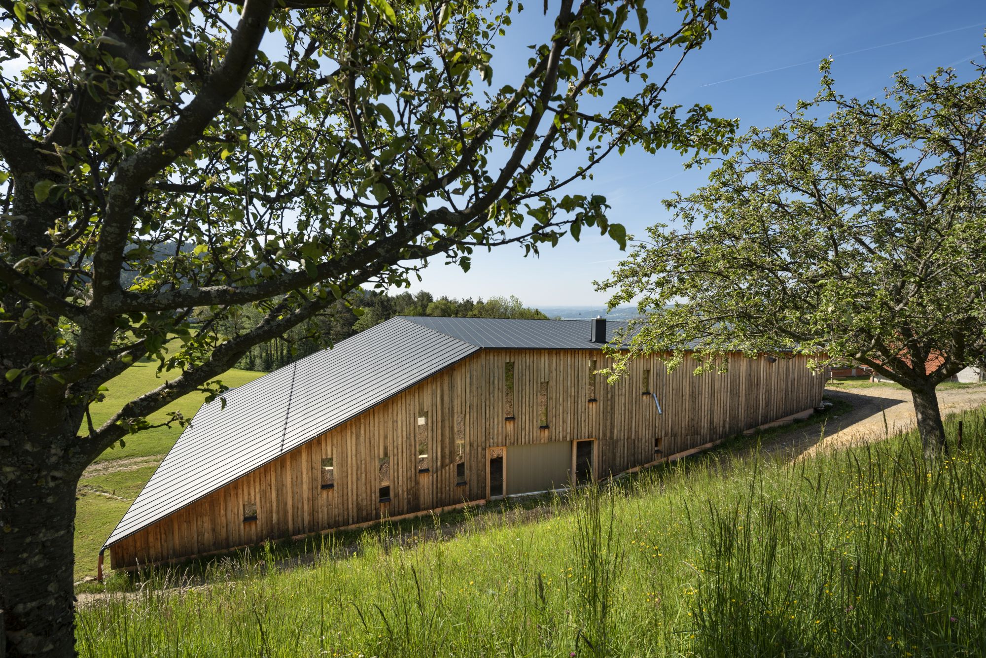 HHH Holz & Bau GesmbH 